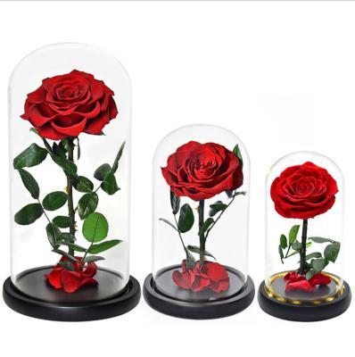 China Best Gift Eco-Friendly Lasting Lasting Fresh Rose Preserved Blooming Flower in Glass Dome Aluminum in Glass Dome with Enchanted LED Light for sale