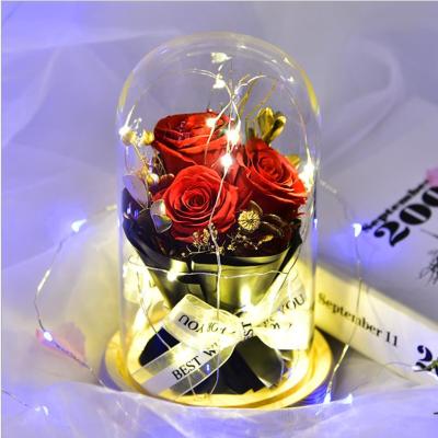 China Best Christmas Gift Eco - Friendly Roses Stabilized Preserved Flower Eternal Rose In Glass Dome for sale