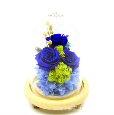 China Used Eternal Flower Glass Dome 100% Real Handmade Loyal Blue Preserved Flower Rose Beauty and Beast Rose in Gift Box for sale