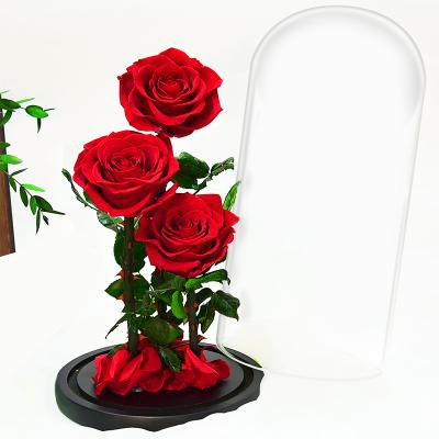 China Preserved Rose Fancy Eternal Rose in Glass Dome The Little Prince Gift for Her Thanksgiving Christmas Mothers Day Gifts for sale