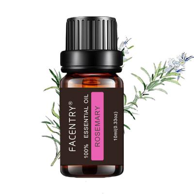 China Other Rosemary Aromatherapy Essential Oil Outfits Humidifier Aromatherapy Peppermint Massage Bath Oil 10ml for sale