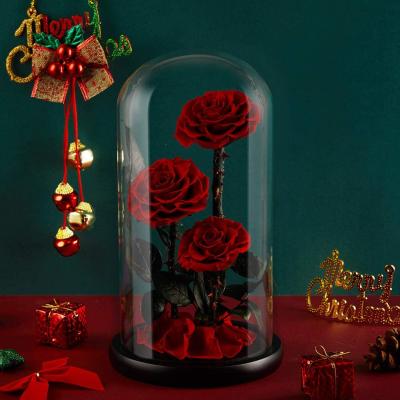 China Wedding Decoration Party Home Decoration Wholesale Christmas Gift Preserved Rose Eternal Rose Forever Flower in Glass Dome Gifts for Christmas Thanksgiving for sale