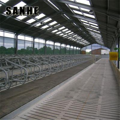 China prefab steel structure dairy cow shed farm livestock panels cow farm low price for sale