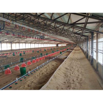 China China low cost steel frame turkey breeding farming house sheds turkey coops for sale