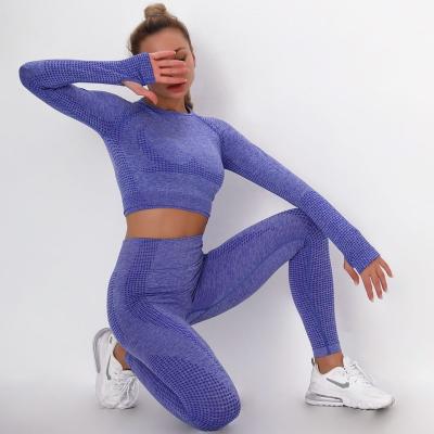 China Breathable Women Fitness Gym Wear Set High Elastic Seamless Sports Workout Yoga Suit for sale