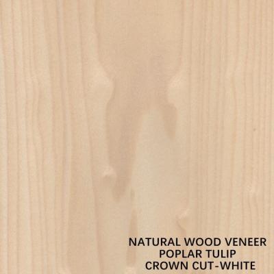 Κίνα Tulip American Natural Poplar Wood Veneer Flat Cut Crown White For Doors προς πώληση