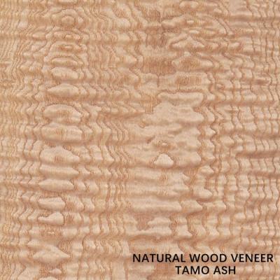 China 0.5mm Thickness Natural Tamo Ash Veneer For Car Interior And Musical Instrument for sale