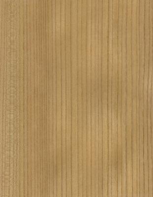 China Madeira maciça folhas de olmo americano grau A para o quarto de corte coroa grão cor natural para porta rosto 3200mm para cima à venda