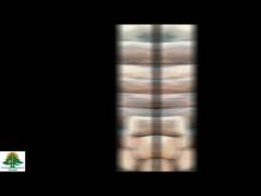 Natural Wood Veneer