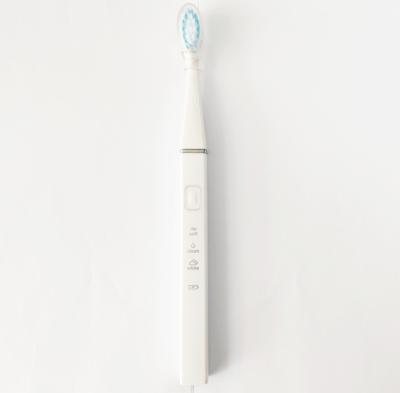 China Home Radio Rechargeable Smart Electric Toothbrush For Adult Use for sale