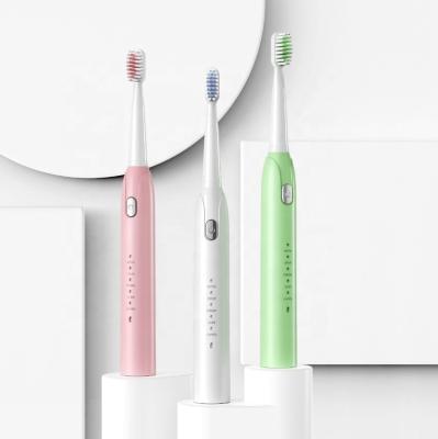 China Battery Operated Wholesale Rechargeable Automatic Sonic Electric Toothbrush for sale