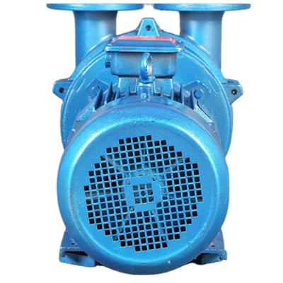 China AUTOMOTIVE INDUSTRY VACUUM PUMP 2BV LIQUID RING VACUUM PUMP ANTI CORRION for sale