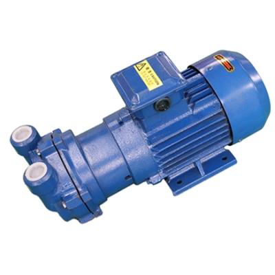 China Automotive Industry FACTORY SUPPLY 2BV SERIES WATER RING LIQUID VACUUM PUMP WITH STAINLESS STEEL IMPELLER for sale