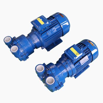 China Automotive Industry 2BV SERIES WATER RING LIQUID VACUUM PUMP for sale