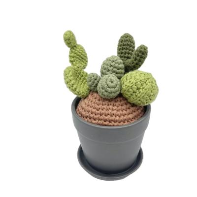 China Decoration Office Home Decoration Stuffed Cactus Hand Knitted Crochet Succulents Toy Gift for sale