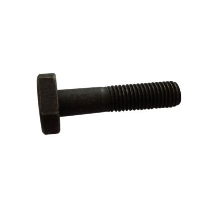 China Customized carbon steel steel T-bolt made in China for sale