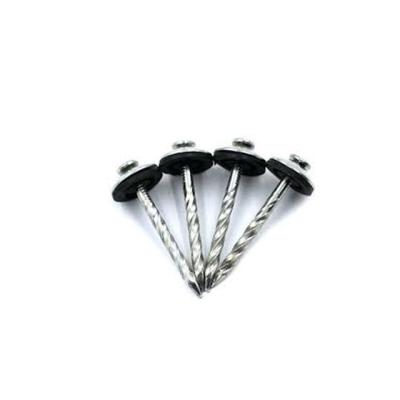 China Flat High Quality Rubber Gasket Covering Nails Umbrella Head Nails Good Price for sale