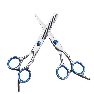 China 6Ihch Stainless Steel Hair Thinning Scissors Home Hair Dressing Scissors Hair Cutting Scissors for sale