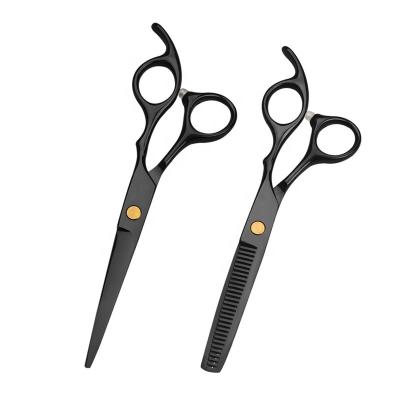 China Professional Beauty 6inch 4CR Stainless Steel Hair Thinning Barber Shears Hair Salon Shears Beauty Shears Scissors Hair Cutting Scissors for sale