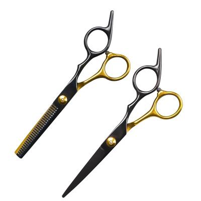 China Professional Beauty 6inch 4CR Stainless Steel Hair Thinning Barber Shears Hair Salon Shears Beauty Shears Scissors Hair Cutting Scissors for sale