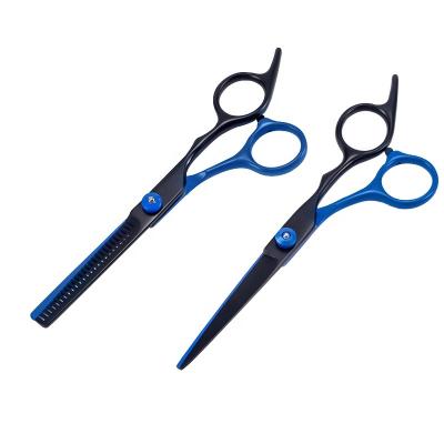 China Professional Thinning Scissors 6Inch Stainless Steel Hair Scissors Hair Cutting Scissors for sale