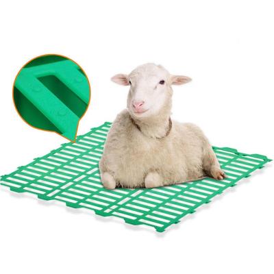 China Hot Sales 600*600 Piglet Goat Slat Plastic Floor Sheep Plastic Slatted Flooring Mesh For Sheep Farm Flooring for sale