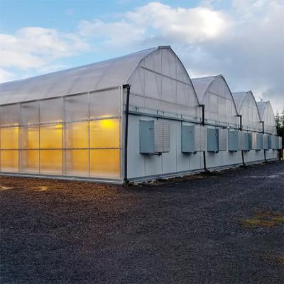 China Geführt wachsen Sie, beleuchtend Wachsen Tunnel-Selbstlicht-Dep Greenhouse Multi Span For-Hemps zu verkaufen