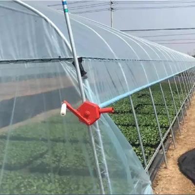 China Agriculture Single Tunnel Plastic Film Greenhouse for Strawberry Planting Growing for sale