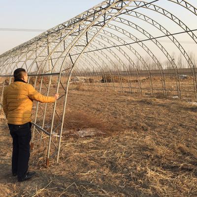 Cina I doppi arché raddoppiano serra crescente agricola della portata del film 10X50m la singola in vendita