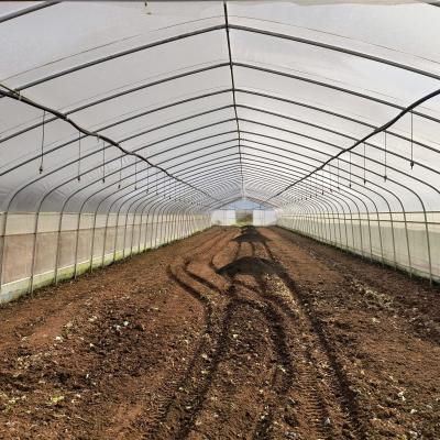 China Galvanized Steel Frame Pe Film Greenhouse Single Span Greenhouse Tunnel 30 X 10 Meters for sale