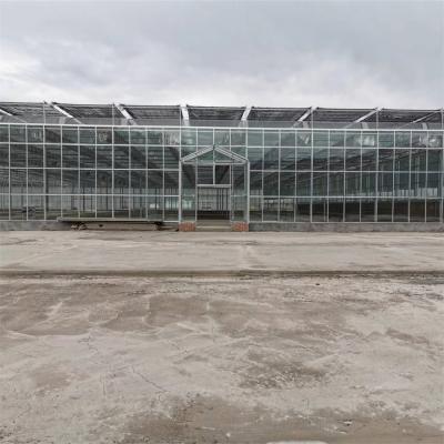 China Complete Vegetables Growing Multi-span Greenhouse Fiberglass Glass Agricultural Greenhouse for sale