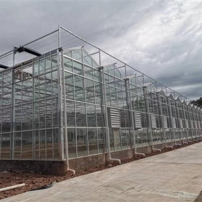 China Heating System Serra Di Vetro Multi-Span Greenhouse Venlo Greenhouse Spare Parts Venlo Glass Winter Greenhouse for sale