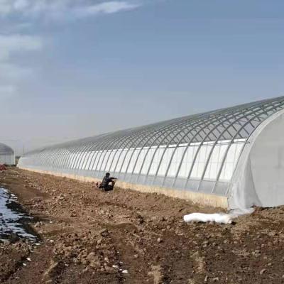 China Automatic Plastic Film Solar Passive Greenhouse Support Rainwater Collection en venta