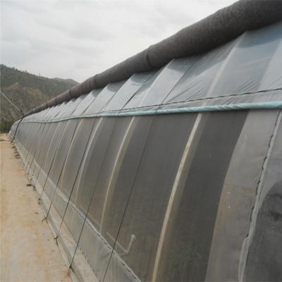 China Automatic High Insulated Agricultural Greenhouse With Customized Temperature Control en venta