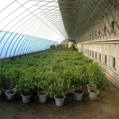 China High Insulation Garden Greenhouse With Customized Temperature Control And Size en venta