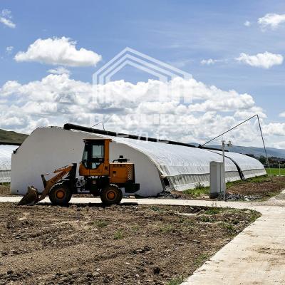 China Plastic Film Agricultural Greenhouse With High Insulation Automatic Air Circulation en venta