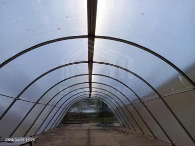 China Easily Assembled Polycarbonate Greenhouse for Efficient Plant Drying with Customized Span and UV Protection for sale