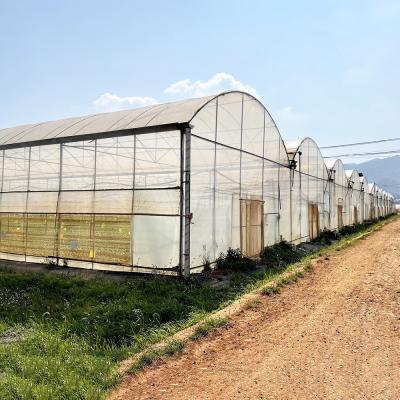 China Wind Resistant UV Net House Greenhouse Environmental Controller Multi-span Greenhouses Te koop