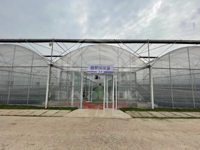 China Baolida High Tunnel Plastic Film Multi Span Tropical Green House Siding Vent Agriculture Greenhouse with Shading System for sale