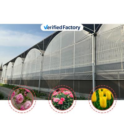 China Agricultural Tunnel Greenhouse Plastic Film Multi-span Strawberry Greenhouse for Sale With Ventilation System for sale