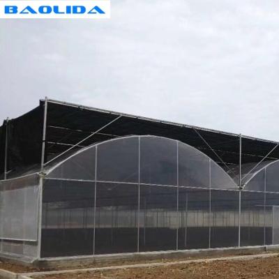 China Condenación plástica del invernadero del tomate del tubo mental multi del palmo para la agricultura en venta