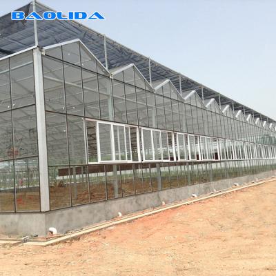 China El tipo gótico estructura estable agrícola de Venlo del invernadero montó fácilmente en venta