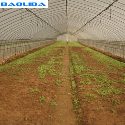 Cina Piante del sistema automatico che crescono coltivanti il sistema di Greenhouse Drip Irrigation del Rigger in vendita