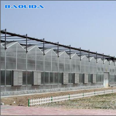 China Buena edad anti impermeable de Venlo del estilo del invernadero del crecimiento agrícola de la flor en venta