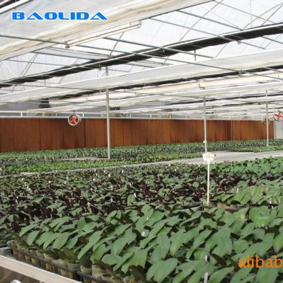 China Multi-Span Greenhouse High Tunnel 200 Micron Polyethylene Film Greenhouse for sale