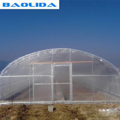 China Custom Good Stability Tunnel Plastic Greenhouse With Metal Greenhouse Frame for sale