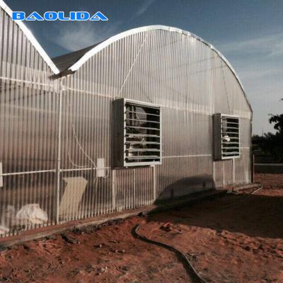 China Sides Ventilation Commercial Polycarbonate Sheet Greenhouse Flame Retardant for sale