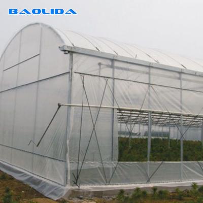 China plastic film Hobby Structure Multispan Tunnel Plastic Greenhouse for sale