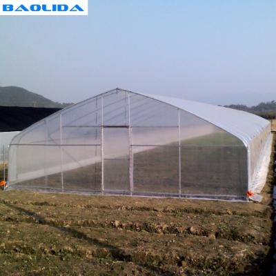 China Arch Spacing 1.33m Polyethylene Film Greenhouse For Vegetable Cultivation for sale