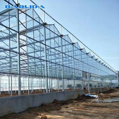 China Invernadero de cristal galvanizado palmo multi de Venlo de la cubierta de cristal del marco de acero en venta